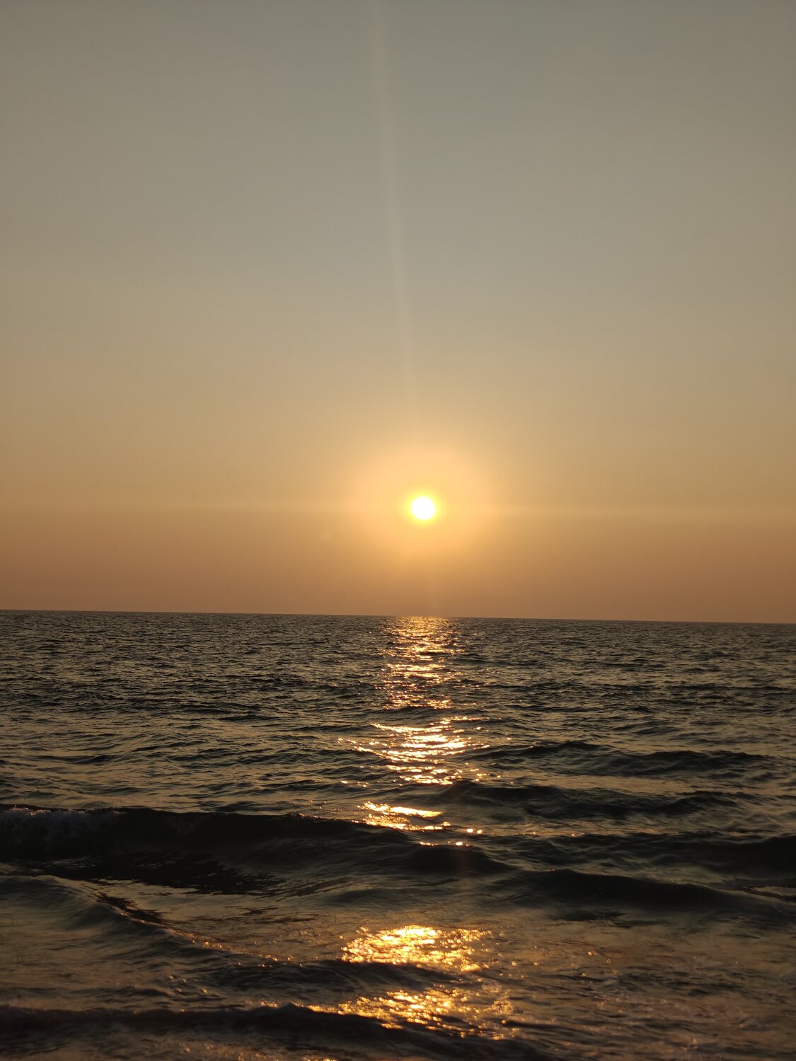Photo #13898822