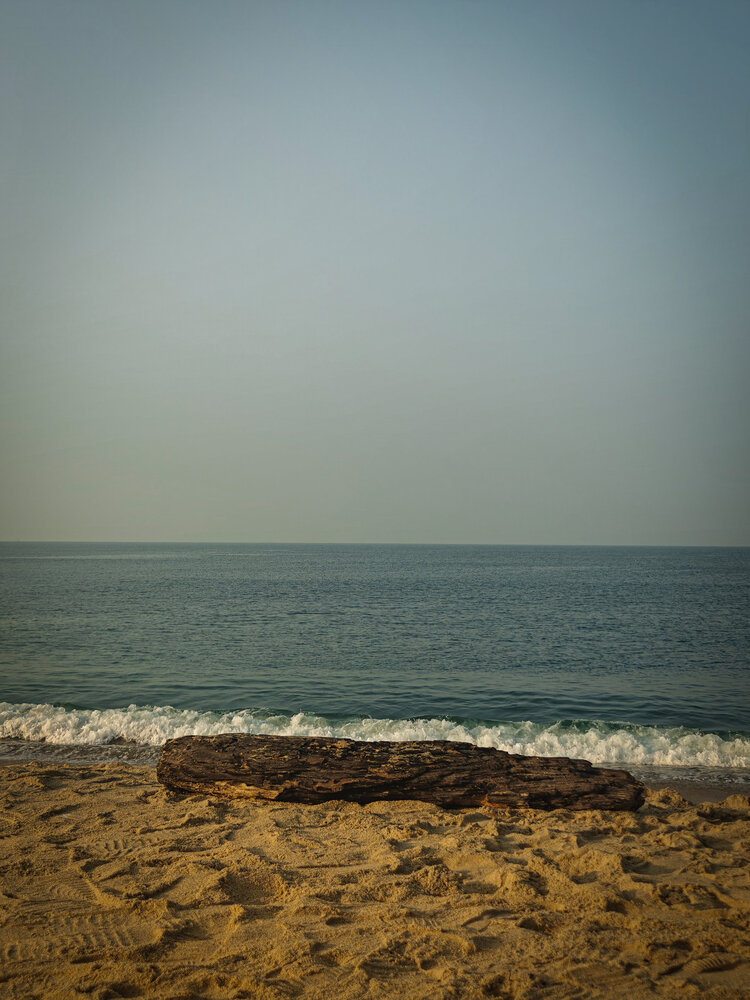 Photograph by Bandhav reddy Cheviti