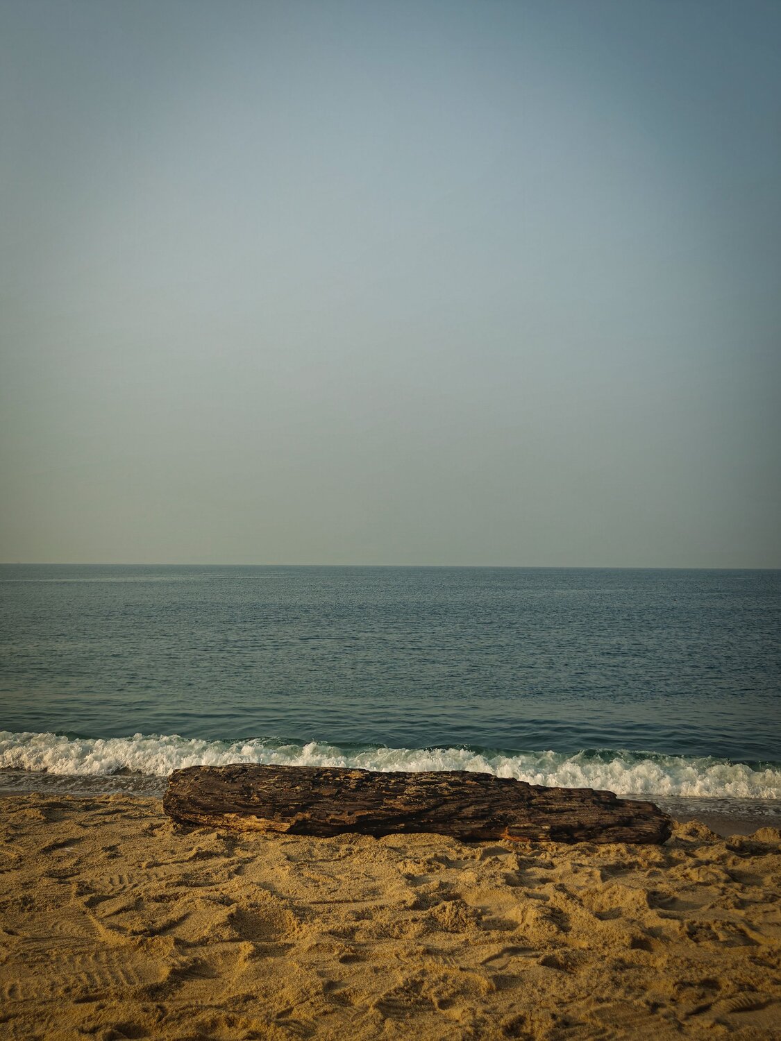 Photo #13898823