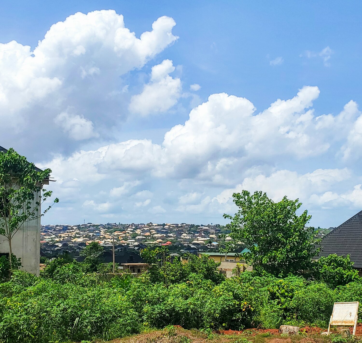 Divine View