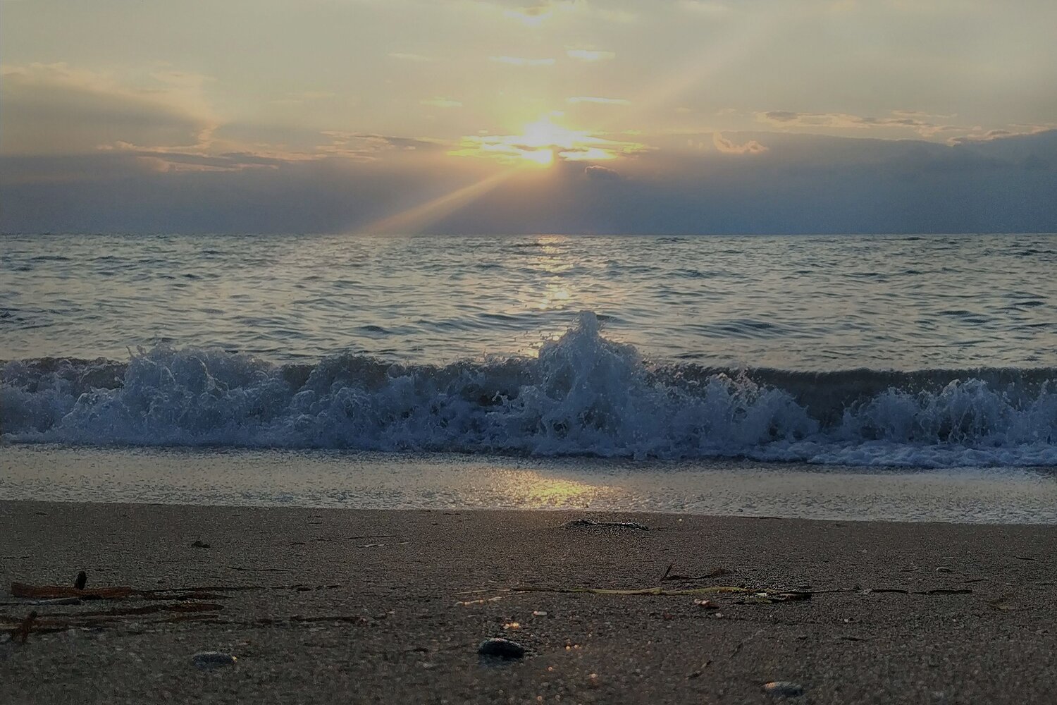 Photo #13898843