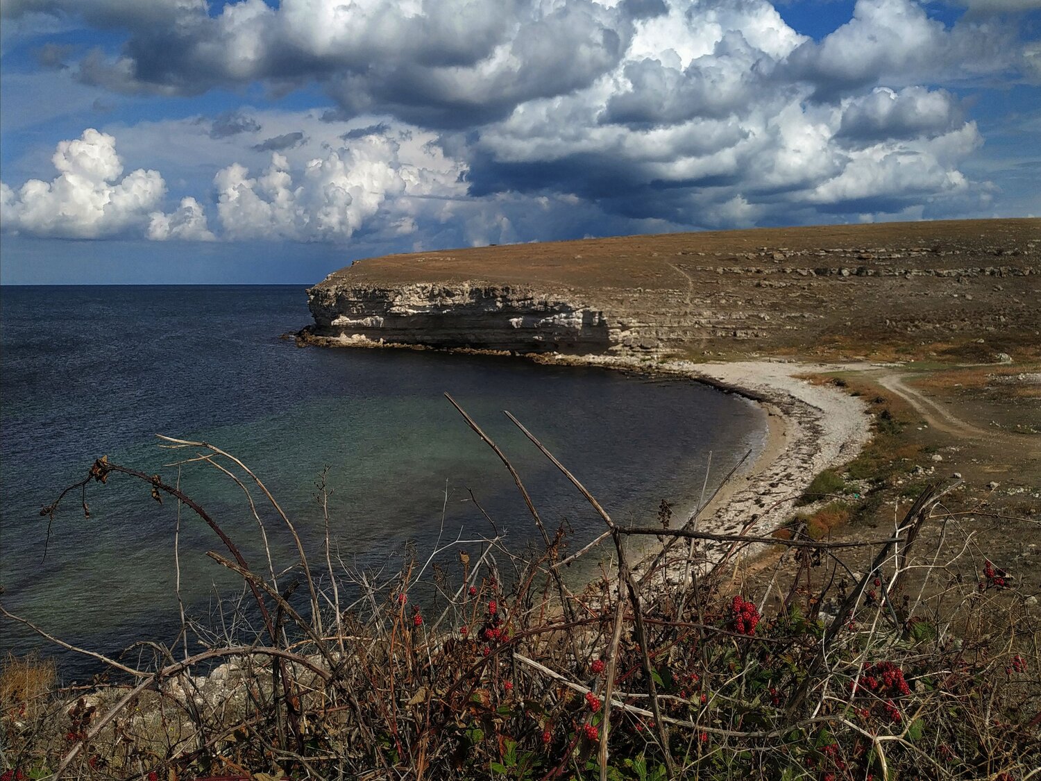 Photo #13898844