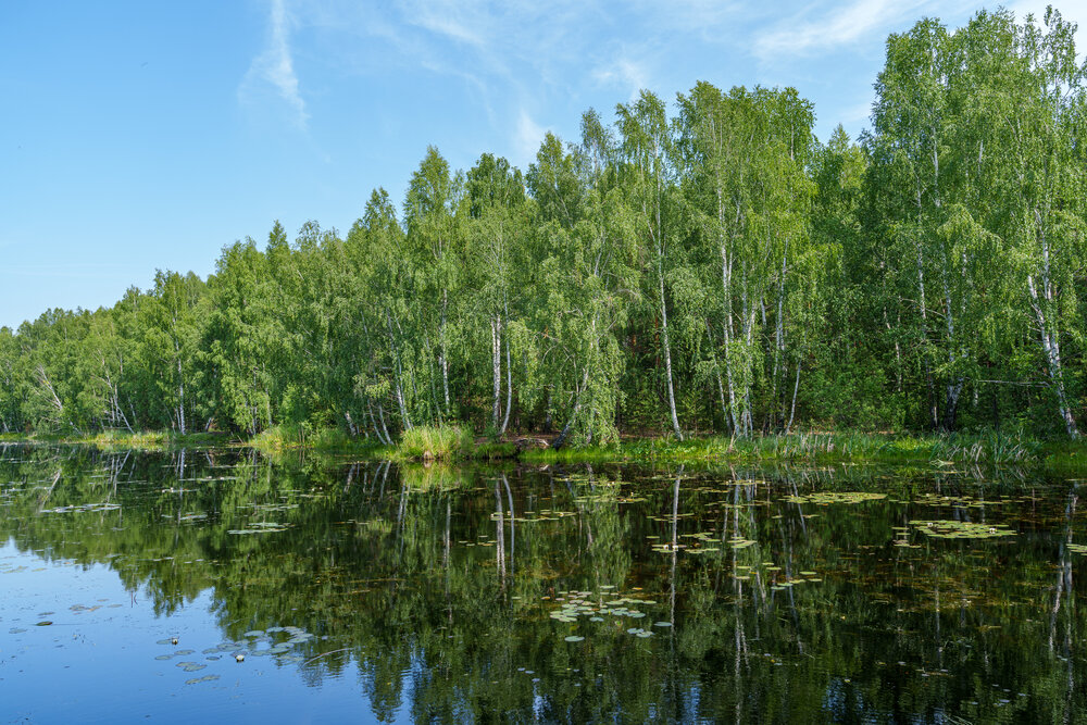 Photograph by Вадим Шевырин