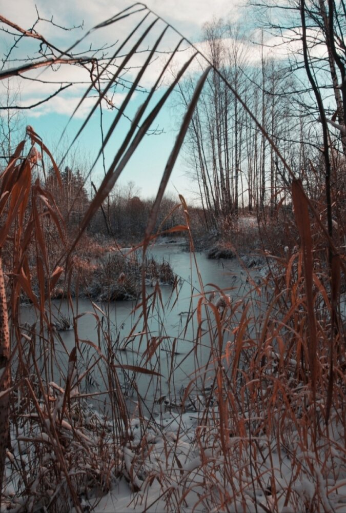 Photograph by Инна Лаца