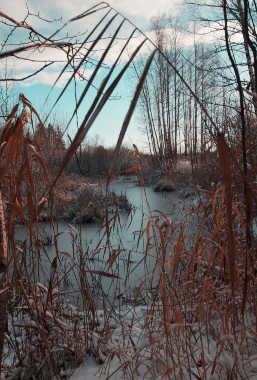 Photo #13898943