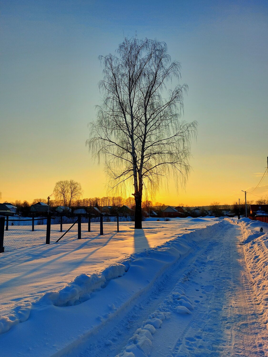 Photo #13898951