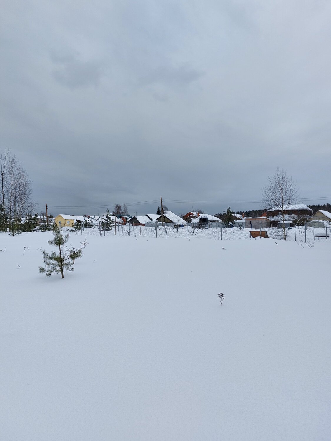 Photo #13898952