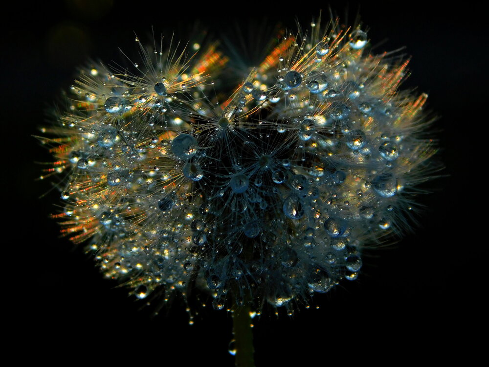 Photograph by Сергей Чеченов