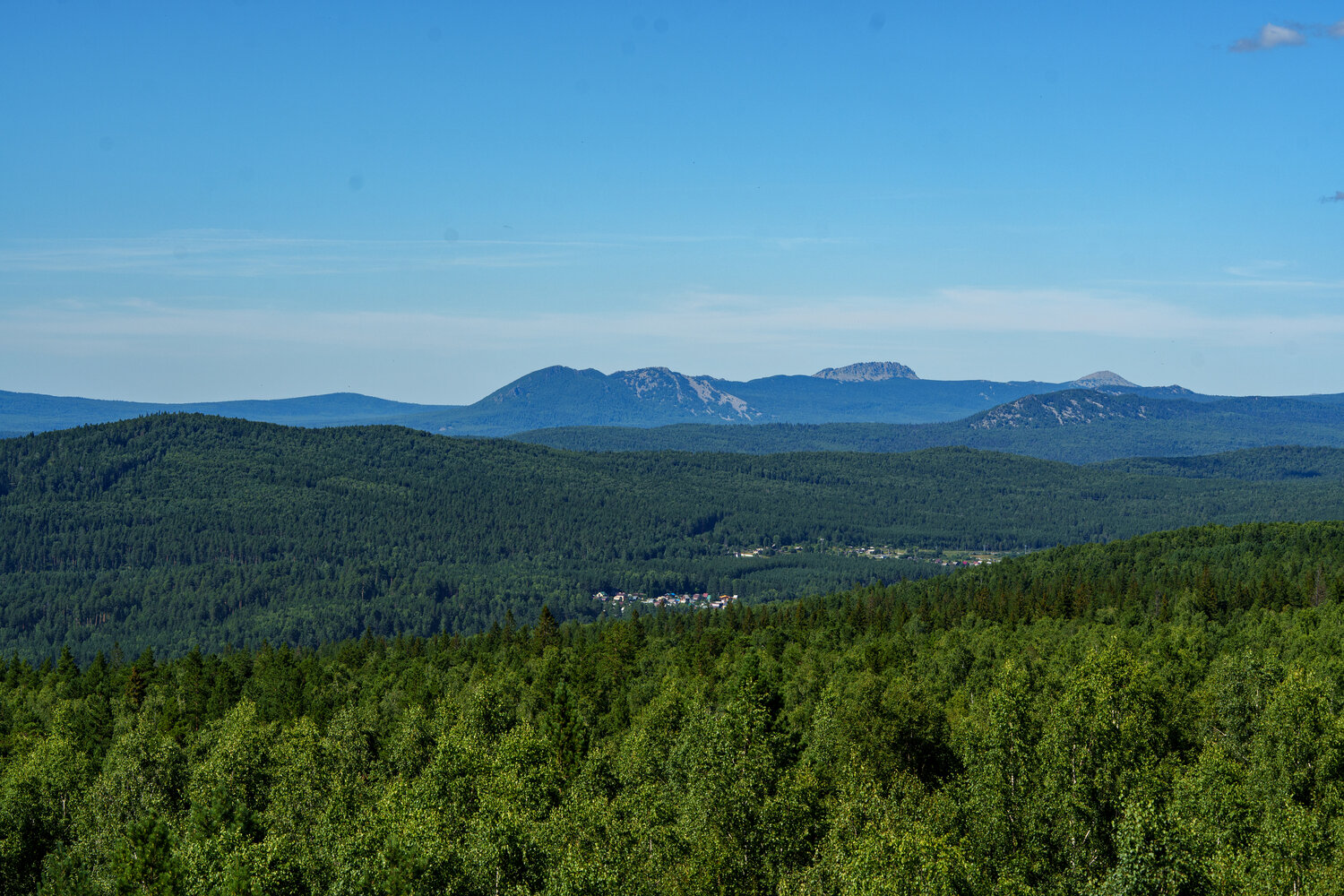 Photo #13899037