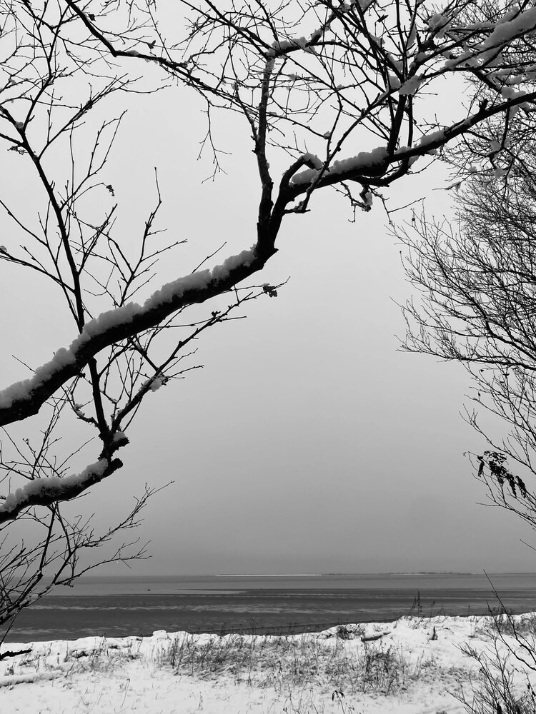 Photograph by Наталья Тарабычина