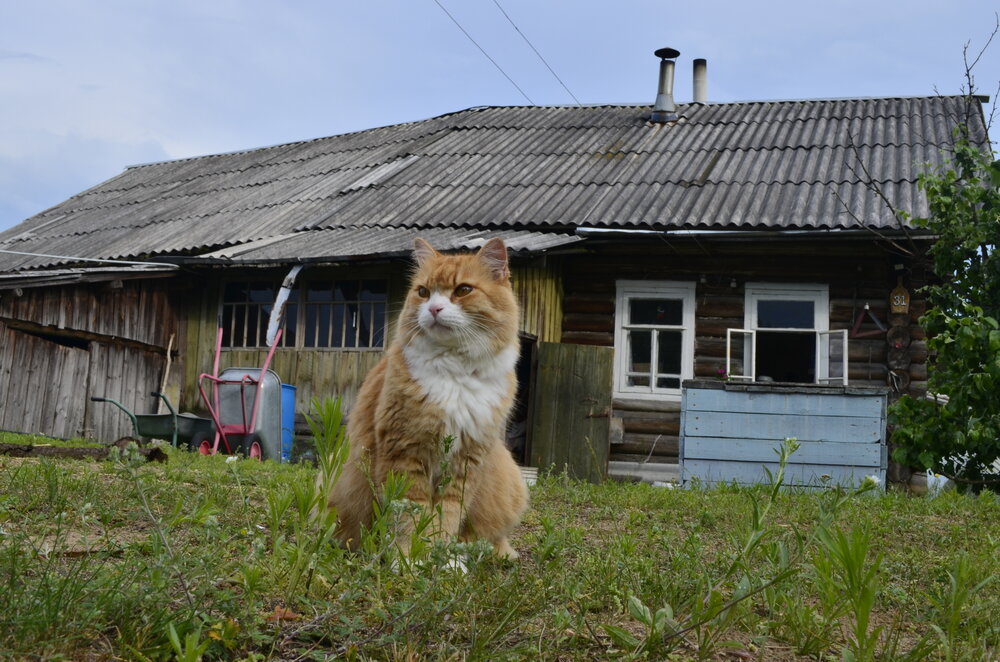 Photograph by Сергей Лахтионов