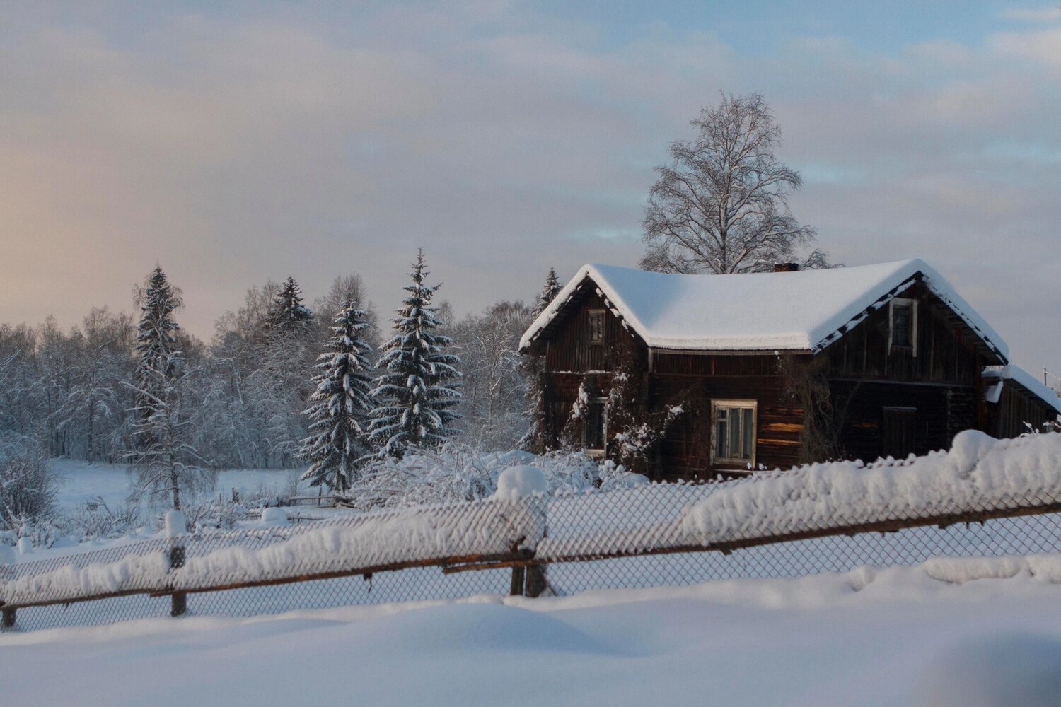Photo #13899113