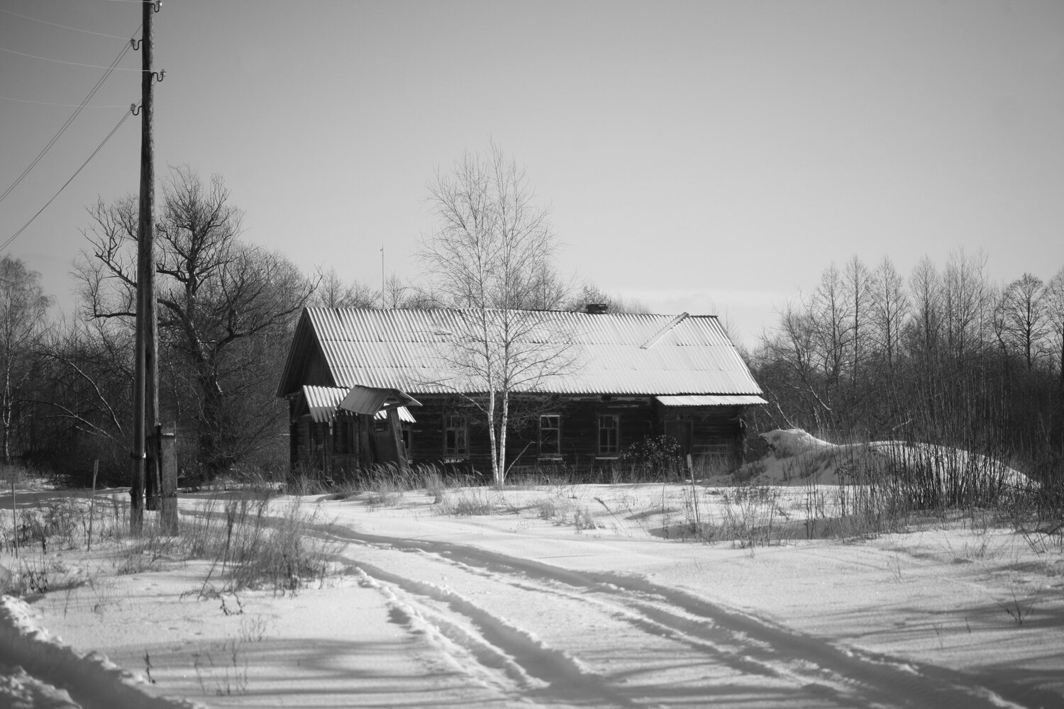 Photo #13899164