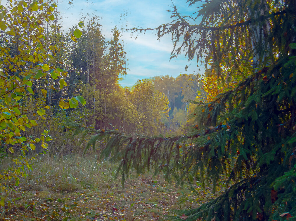 Photograph by Yelnikova Olga