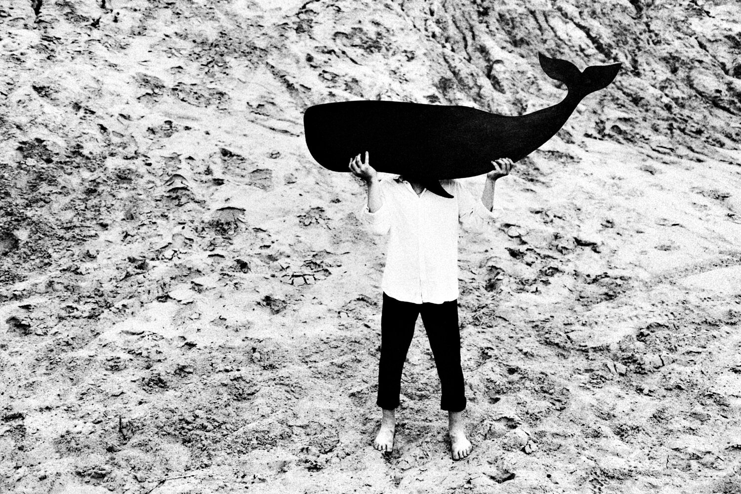 Photo #13899200