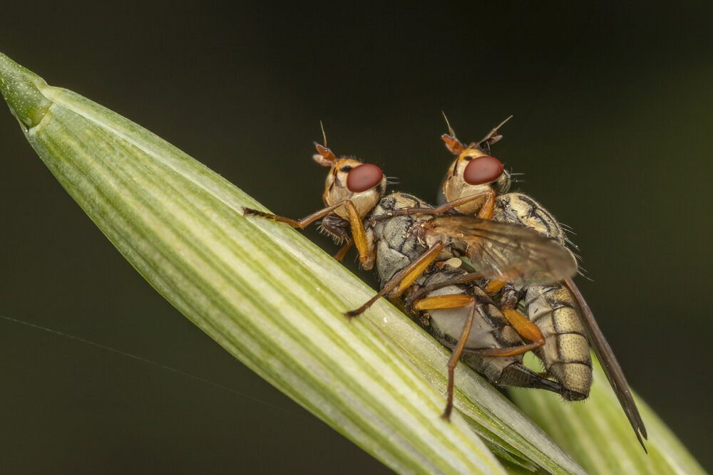 Photograph by Nikolay Tatarchuk