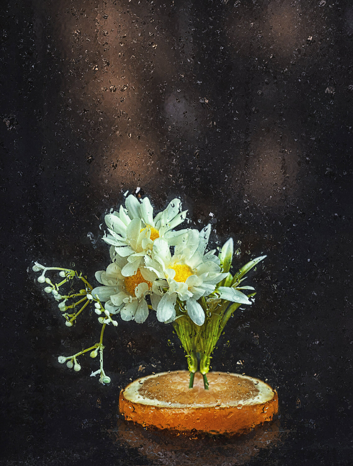Photo #13899282