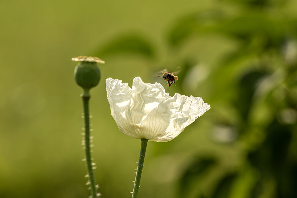 Photograph by Юлия Куликова