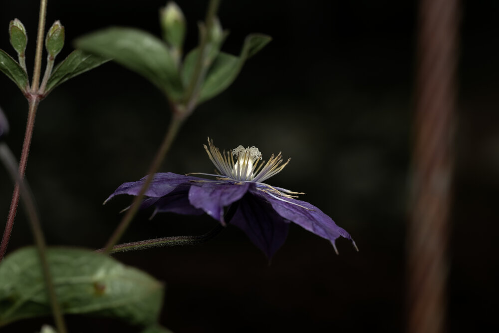 Photograph by Абдул Мигруев