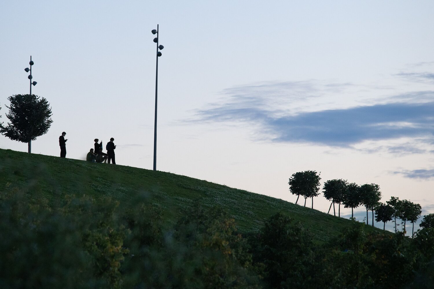 Photo #13899345