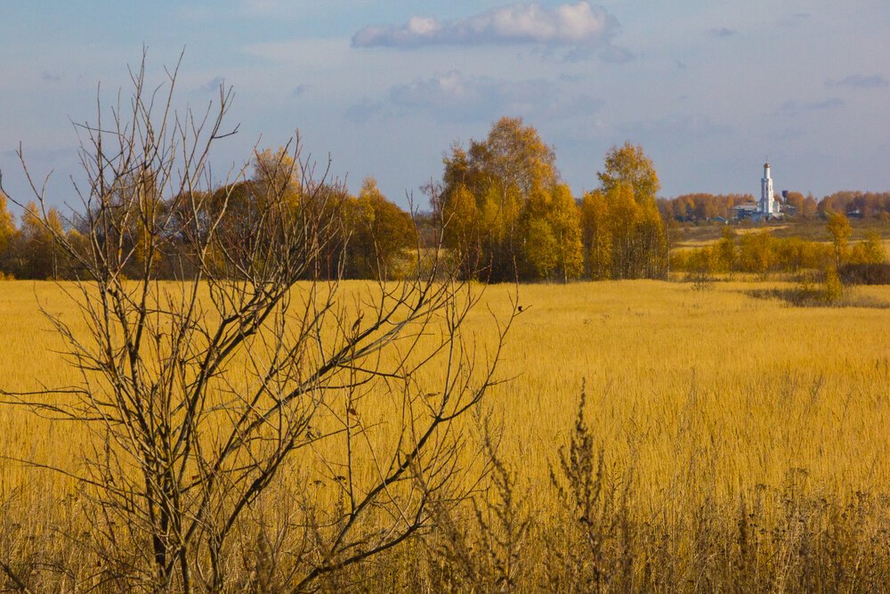 Photograph by Алексей Соколов