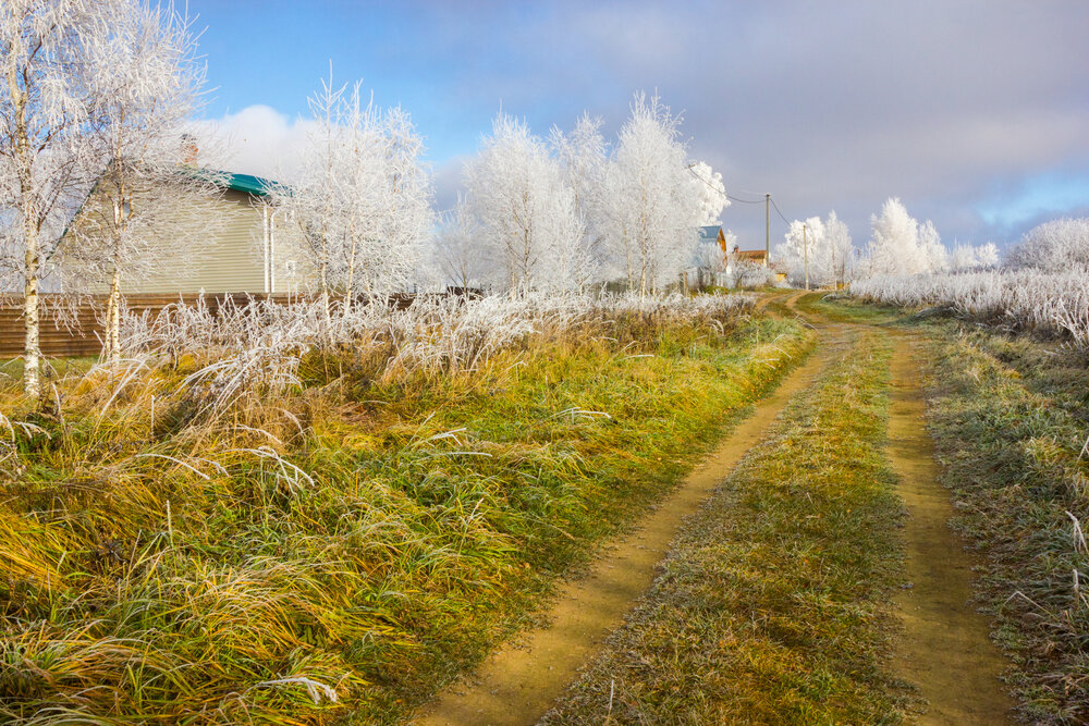Photograph by Алексей Соколов
