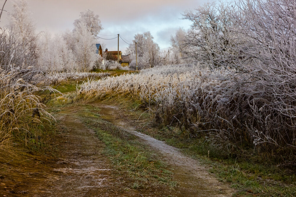 Photograph by Алексей Соколов