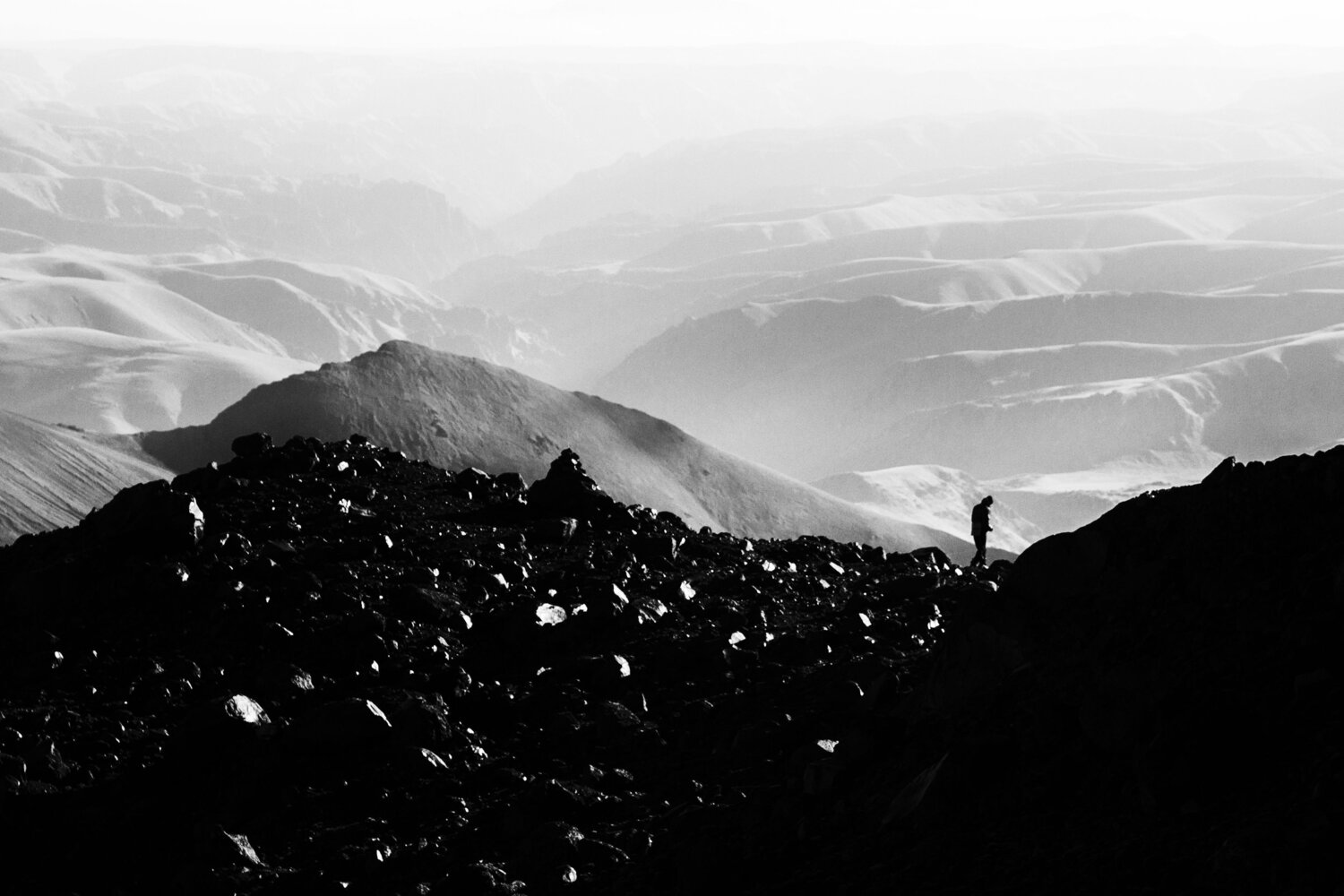 Photo #13899391