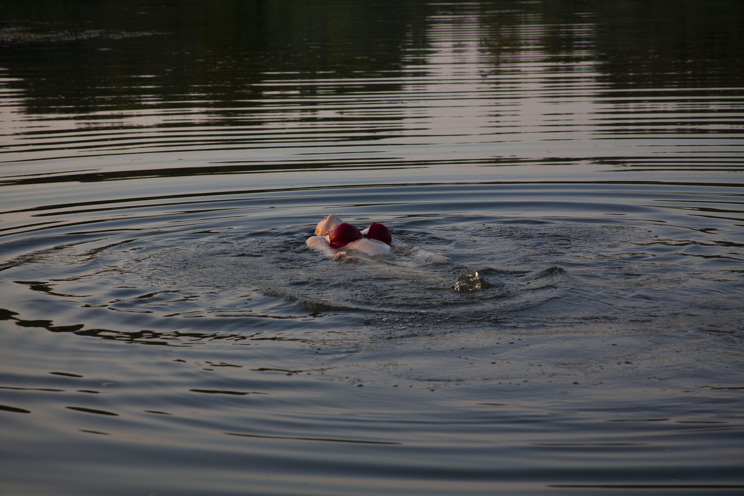 Photo #13899392