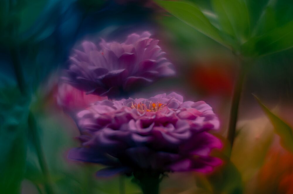 Photograph by Алексей