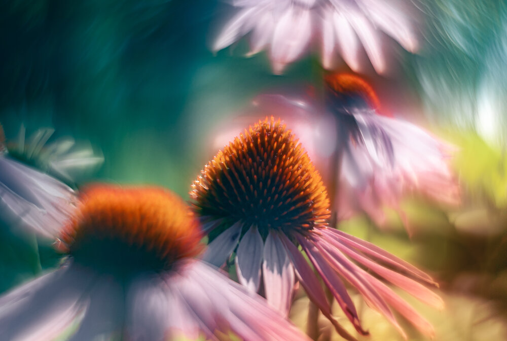 Photograph by Алексей