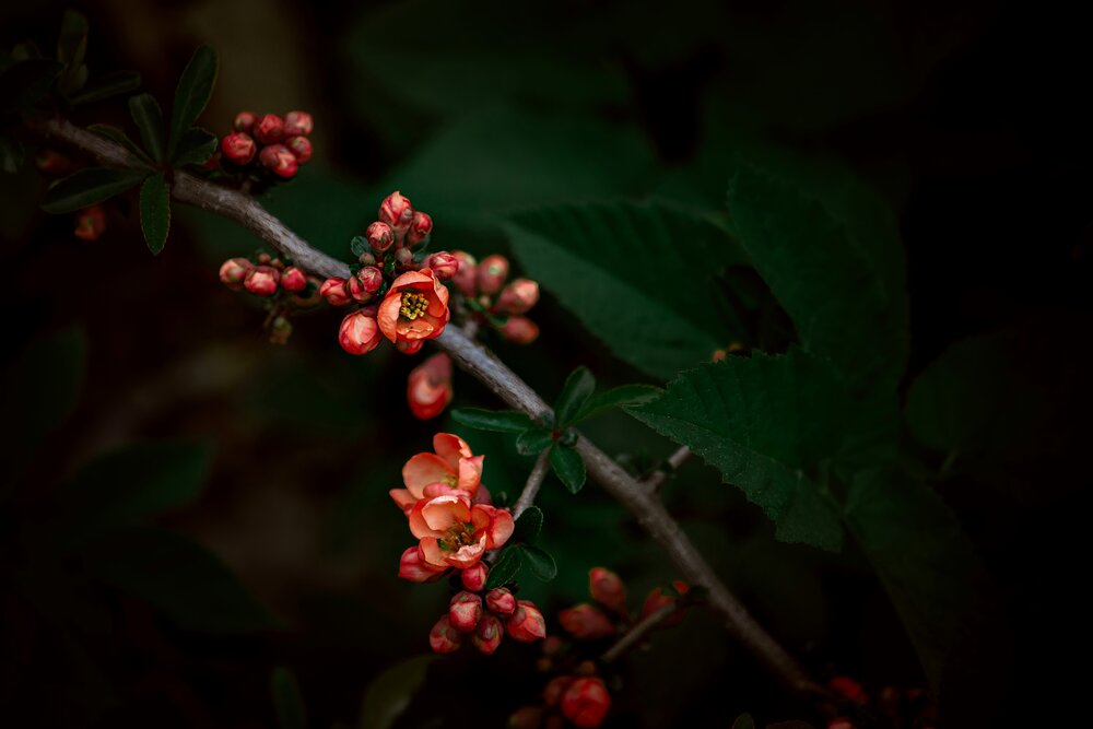 Photograph by Алексей