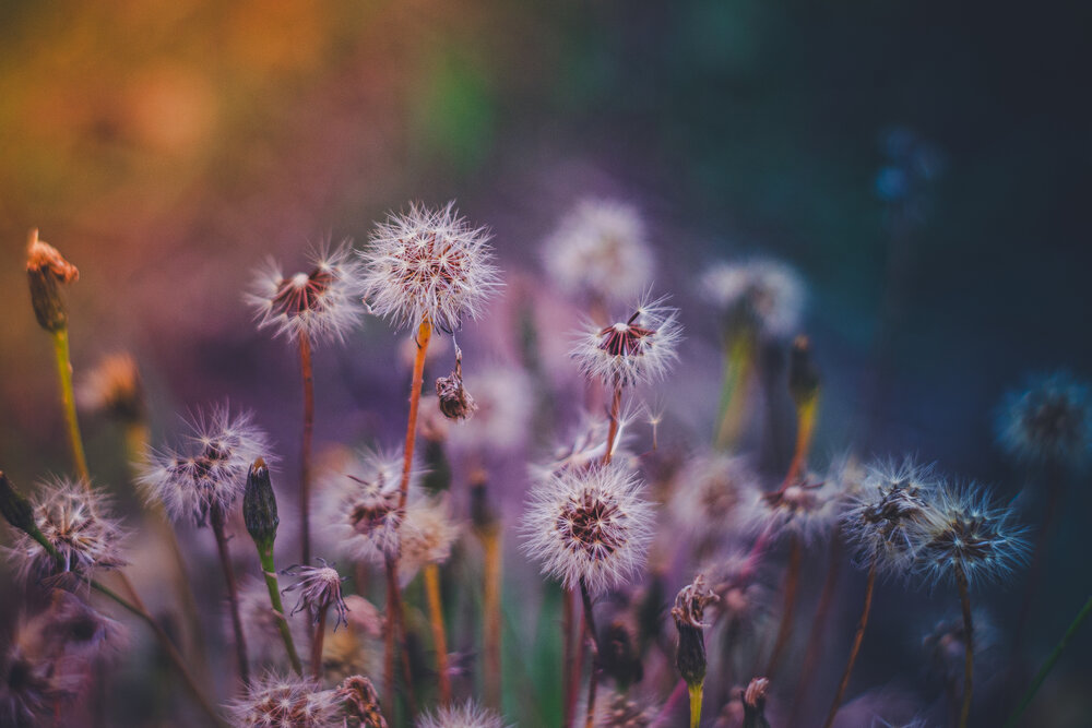 Photograph by Алексей