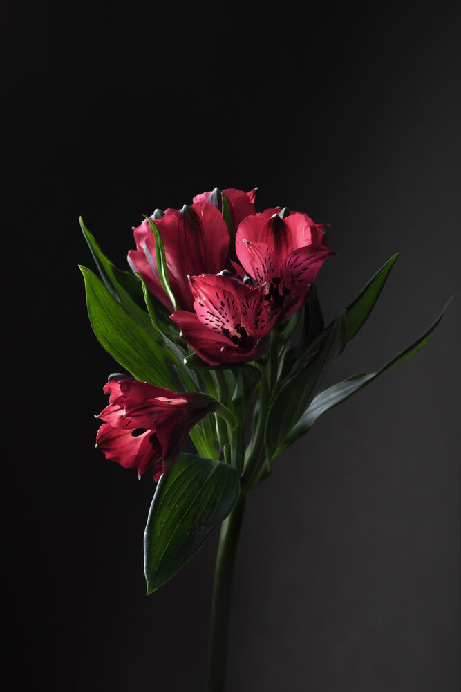 Photograph by Юлия Куликова