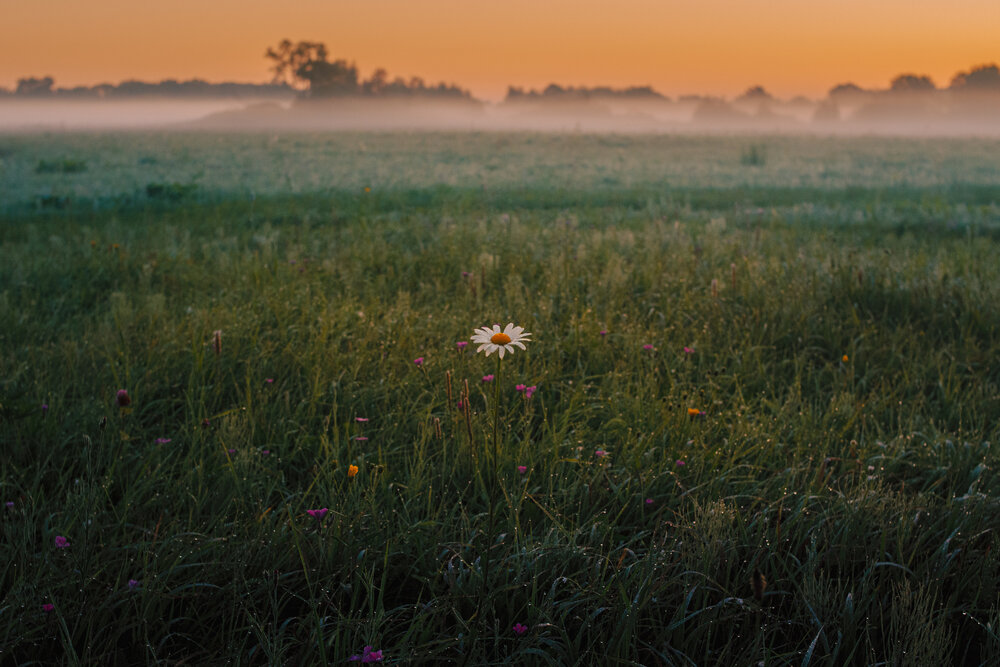 Photograph by Алексей