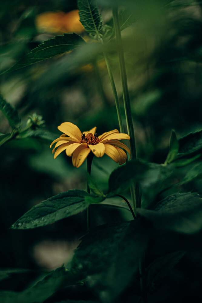 Photograph by Алиса Исаева