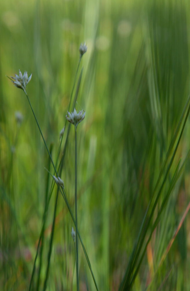 Photograph by Ольга Степанова