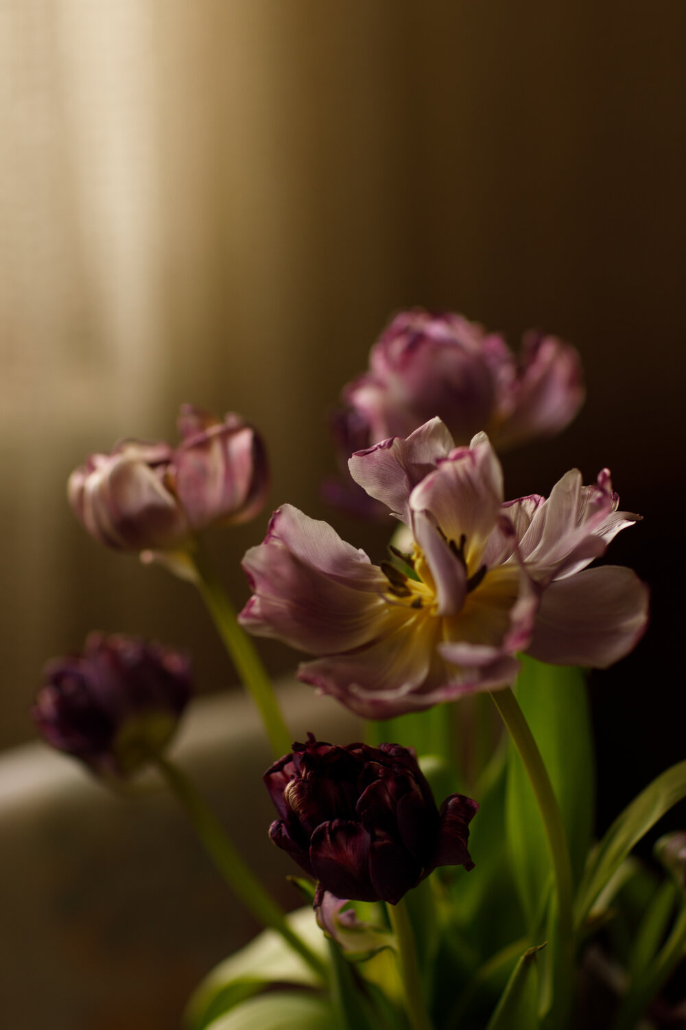 Photo #13899546