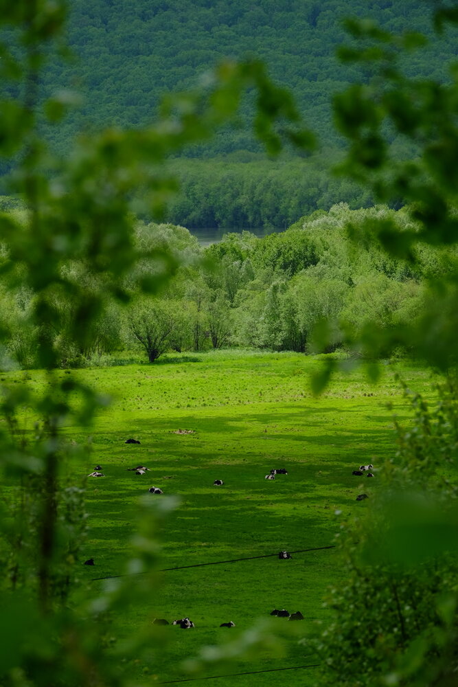 Photograph by Яна Бойко
