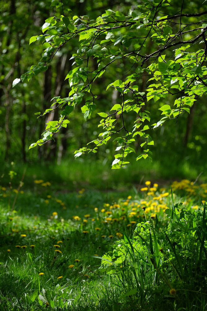 Photograph by Яна Бойко