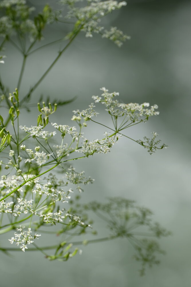 Photograph by Яна Бойко