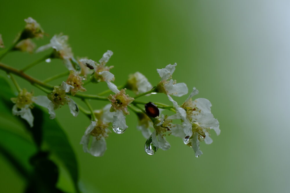 Photograph by Яна Бойко