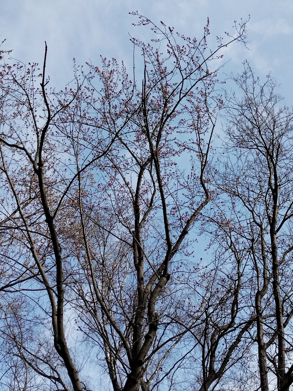 Photo #13899632