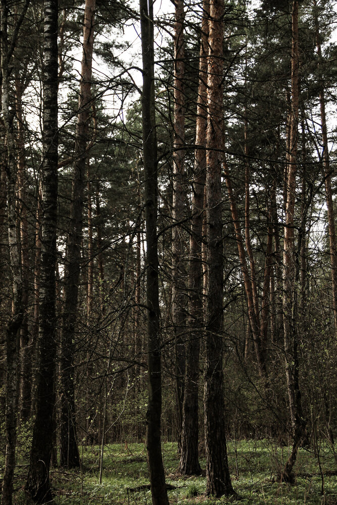 Photograph by Анастасия Псарёва