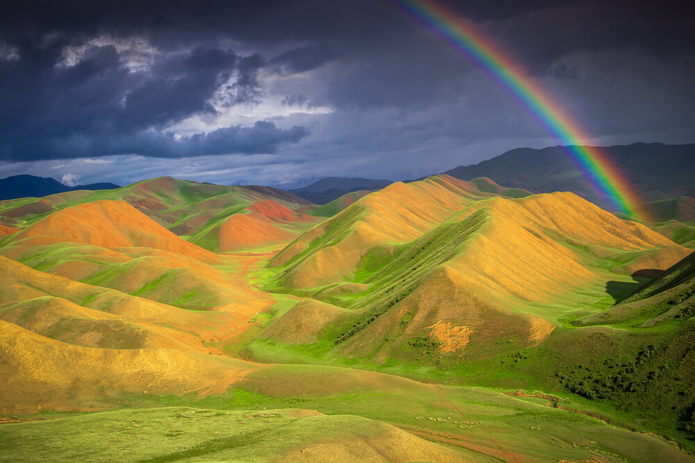 Photograph by Antwan Janssen