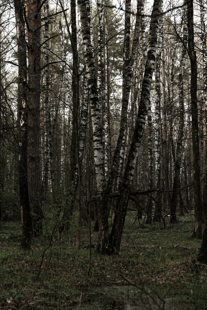 Photograph by Анастасия Псарёва