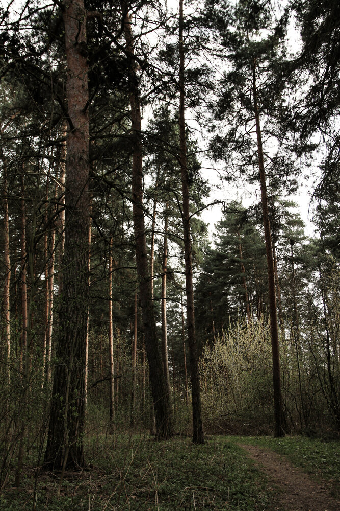 Photograph by Анастасия Псарёва