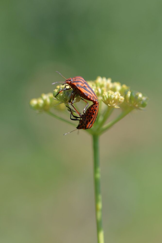 Photograph by Юрий Варюхин