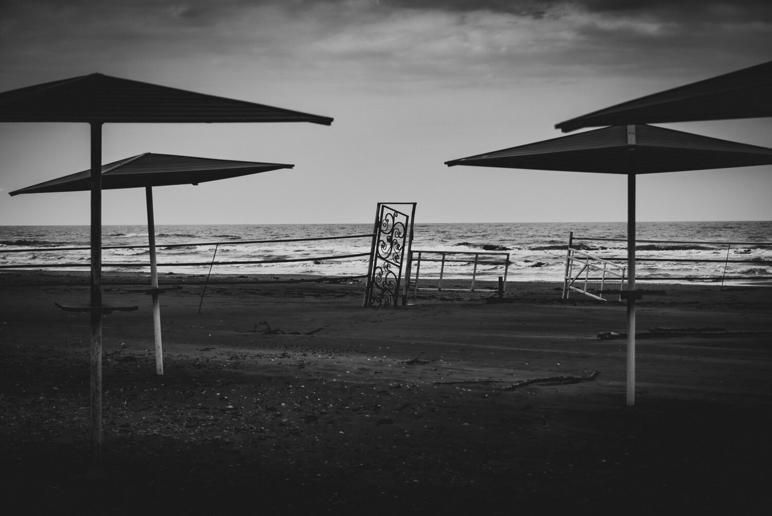 Photo #13899662
