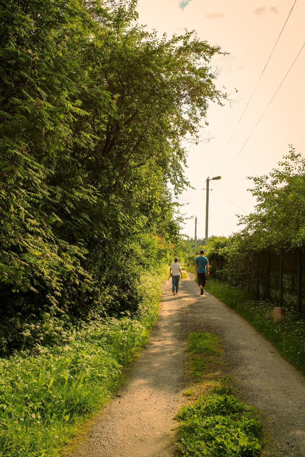 Photo #13899682